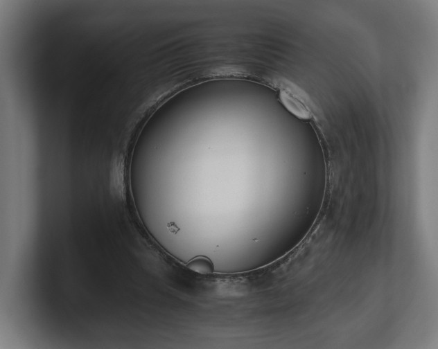 X0000101660345200807171319