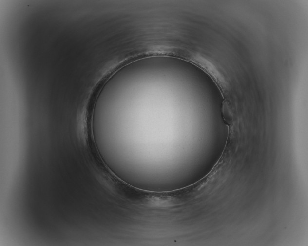 X0000101660346200807171319