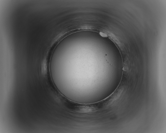 X0000101660347200807171319