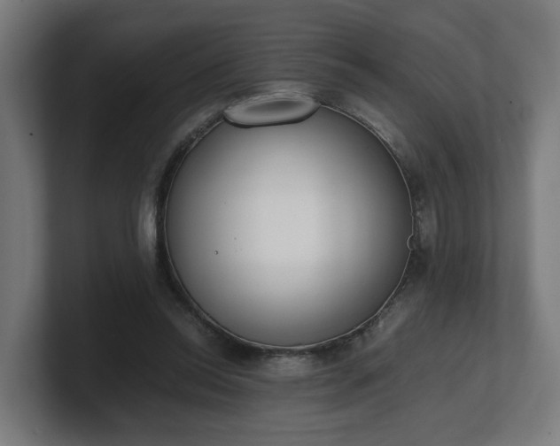 X0000101660350200807171319