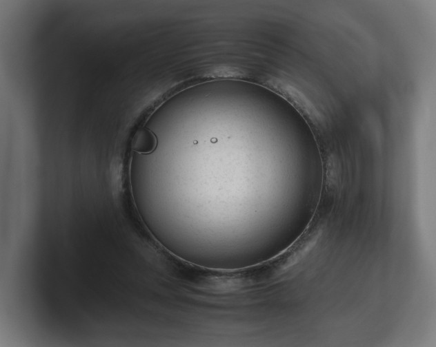 X0000101660351200807171319