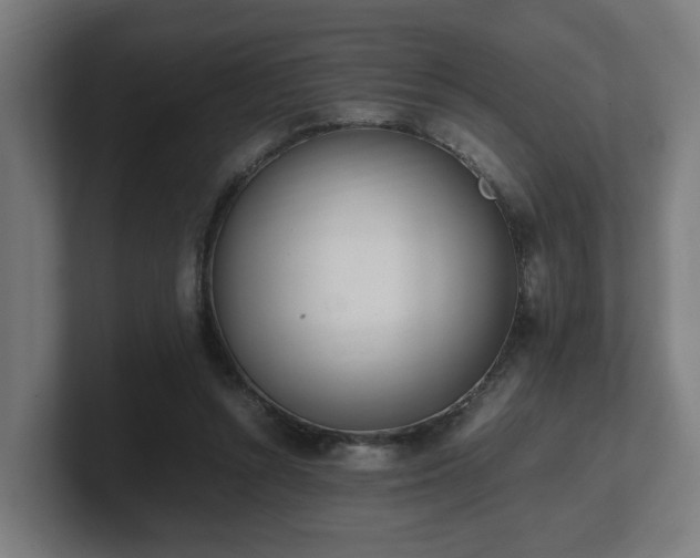 X0000101660352200807171319