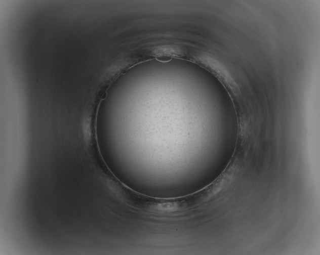 X0000101660353200807171319