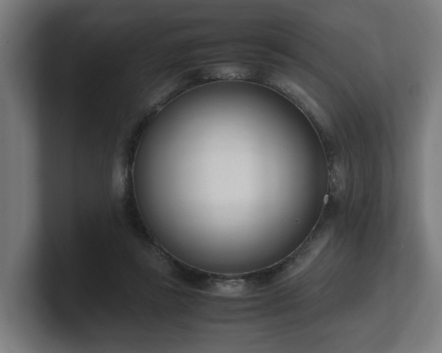 X0000101660355200807171319