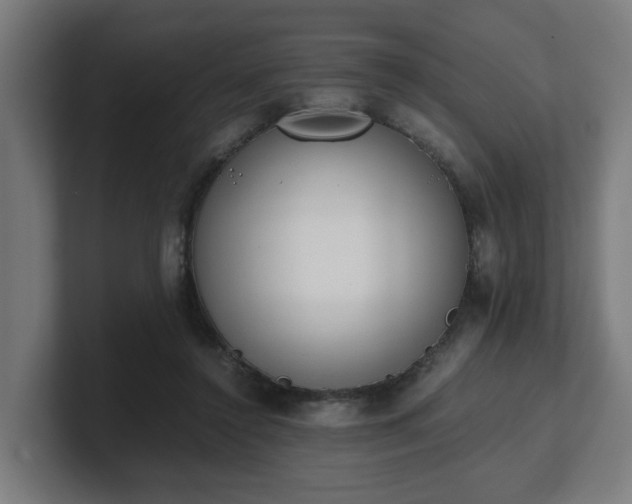 X0000101660356200807171319