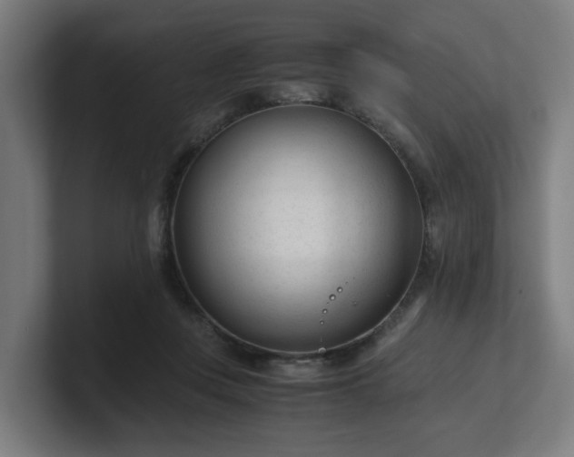 X0000101660359200807171319