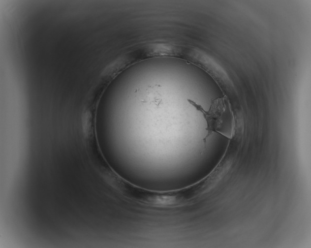 X0000101660361200807171319