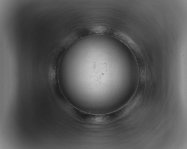 X0000101660365200807171319