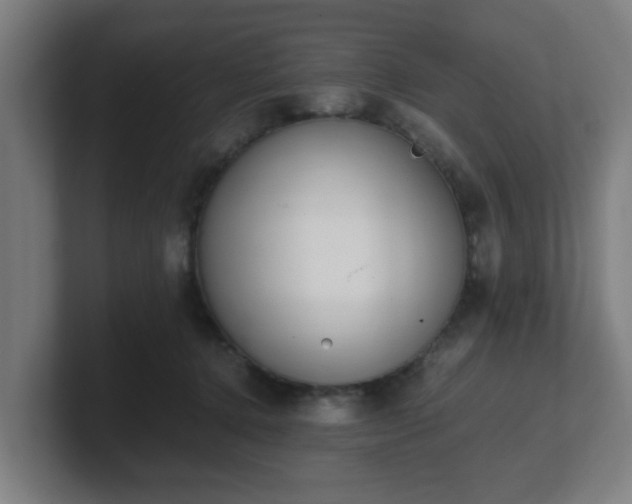 X0000101660368200807171319