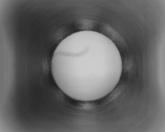 X0000101660370200807171319