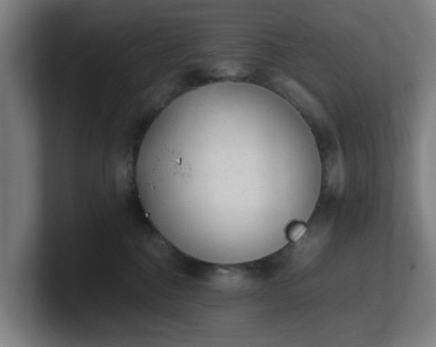 X0000101660376200807171319