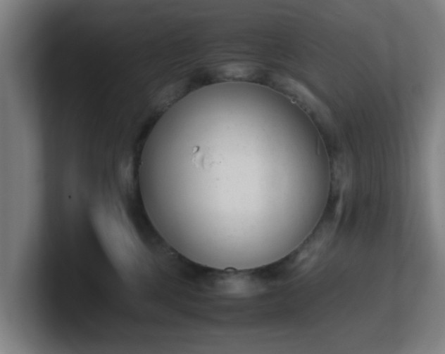 X0000101660377200807171319