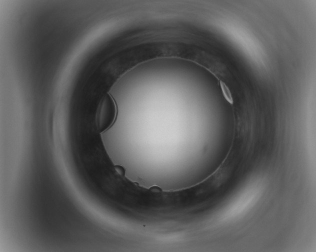 X0000101660383200807171319