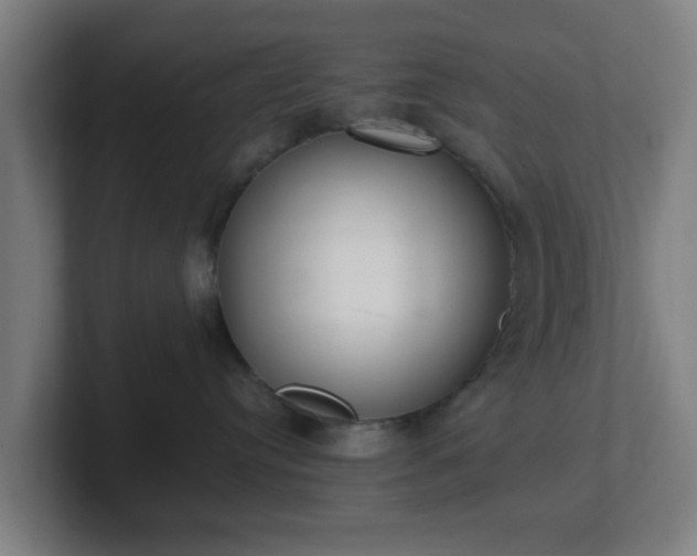 X0000101660384200807171319