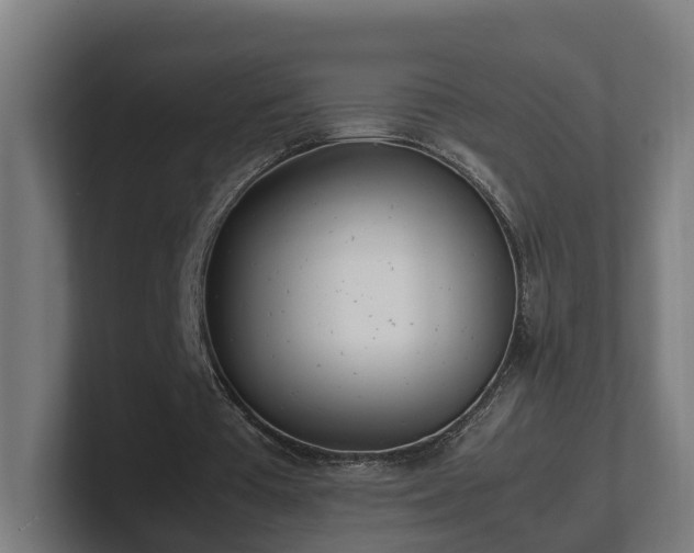 X0000101660385200807171319