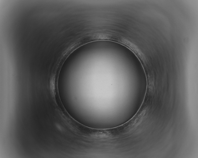 X0000101660386200807171319