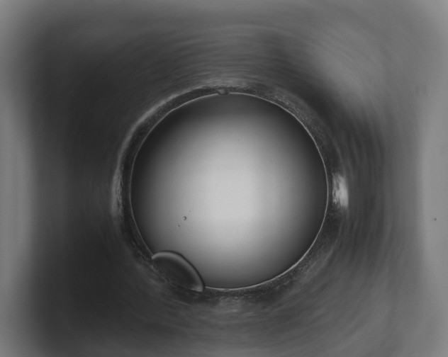 X0000101660388200807171319