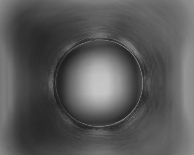 X0000101660389200807171319