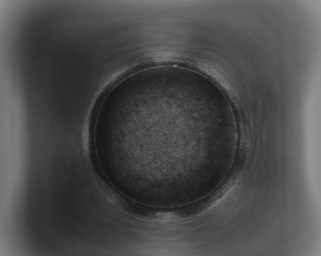 X0000101660391200807171319