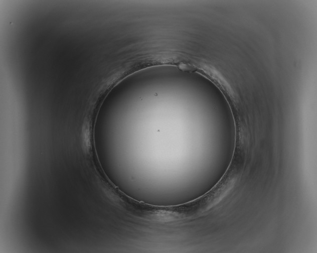 X0000101660393200807171318