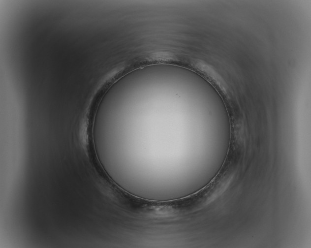 X0000101660395200807171318