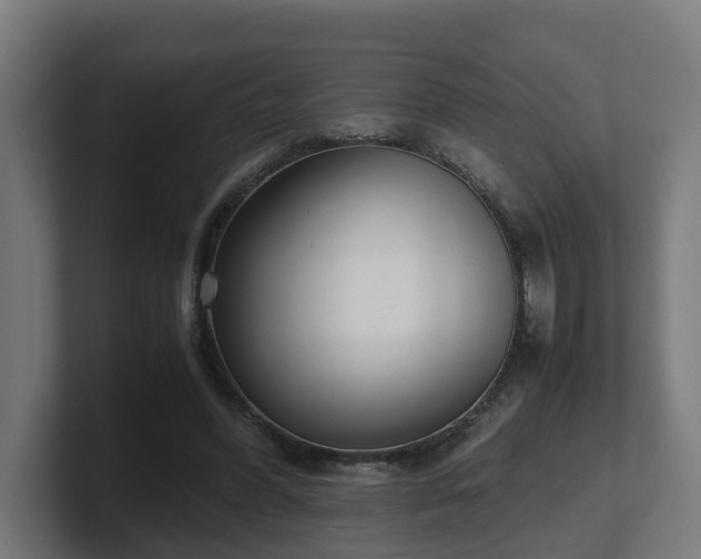 X0000101660396200807171318