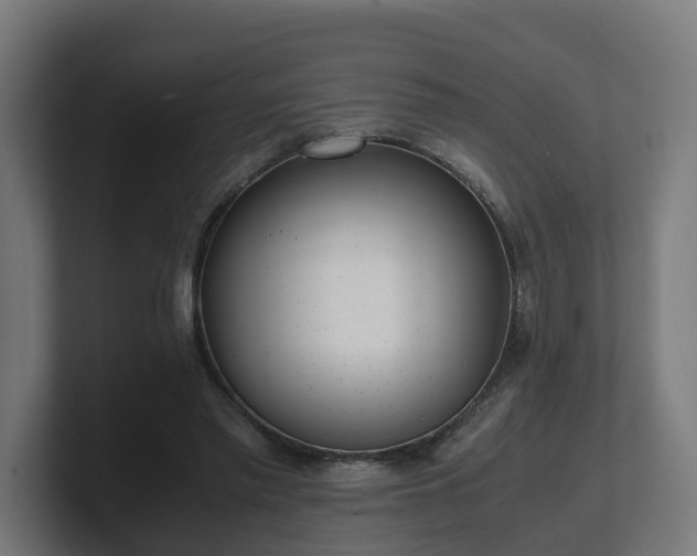 X0000101660397200807171318