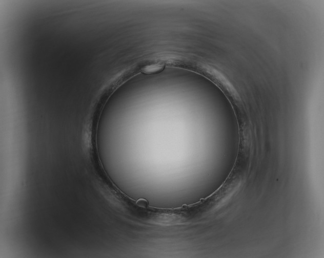 X0000101660399200807171318