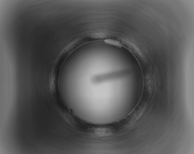 X0000101660400200807171318