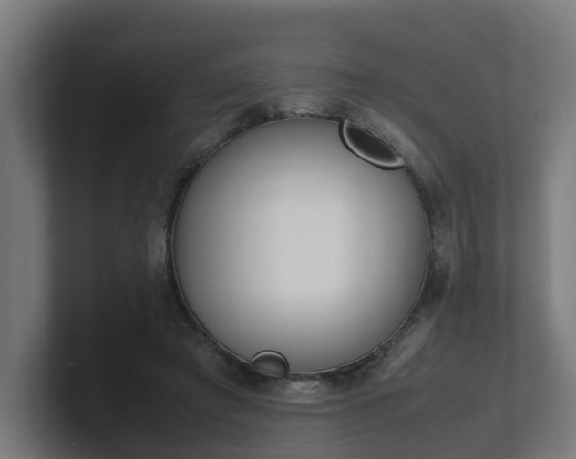 X0000101660401200807171318