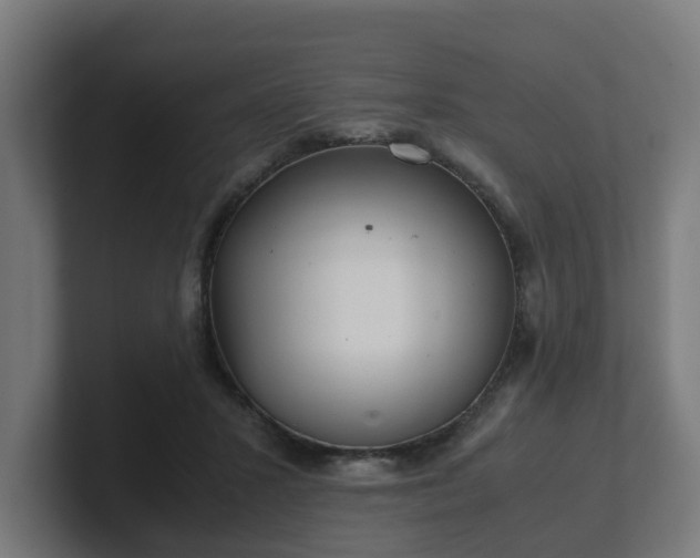 X0000101660407200807171318