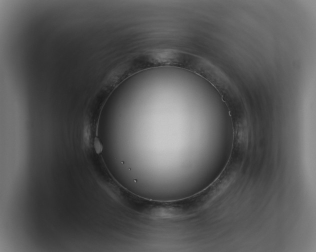 X0000101660408200807171318