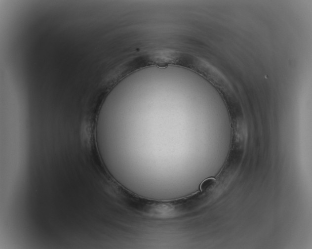 X0000101660409200807171318