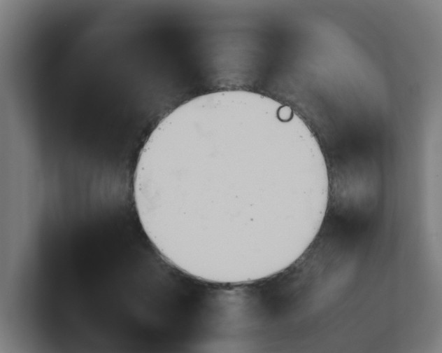 X0000101660411200807171318