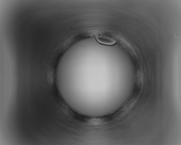 X0000101660413200807171318