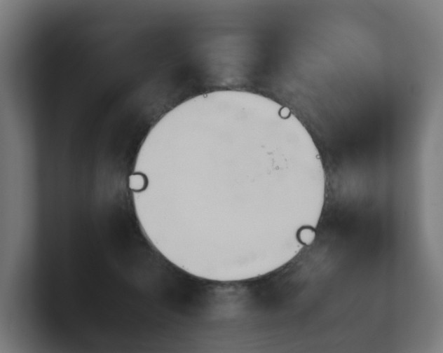 X0000101660415200807171318