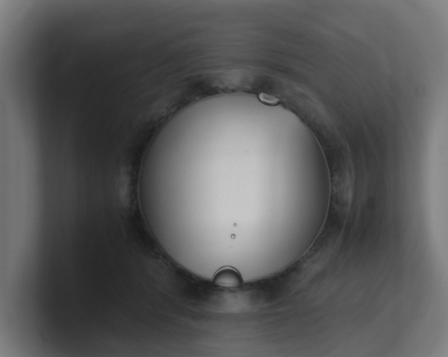 X0000101660416200807171318