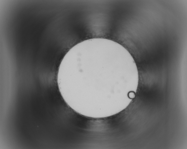 X0000101660419200807171318