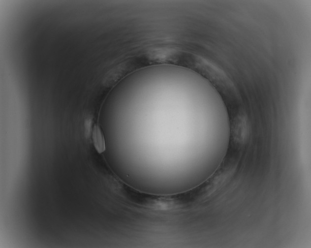 X0000101660420200807171318