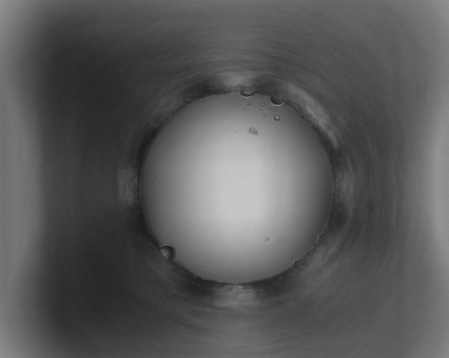 X0000101660421200807171318