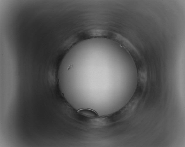 X0000101660422200807171318