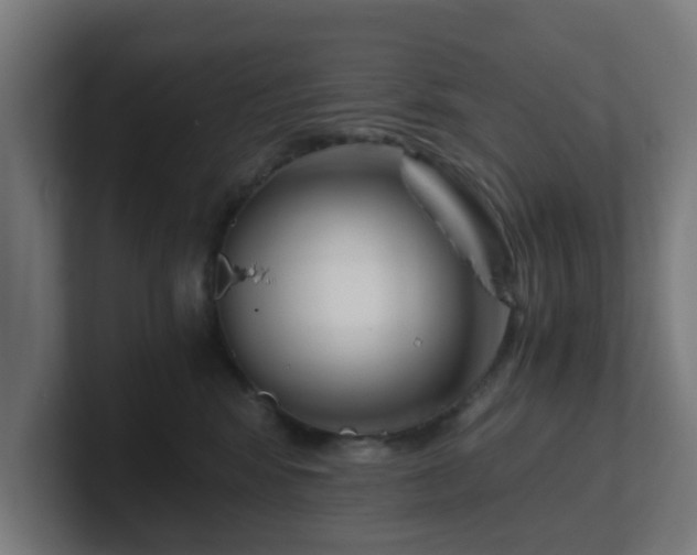 X0000101660424200807171318