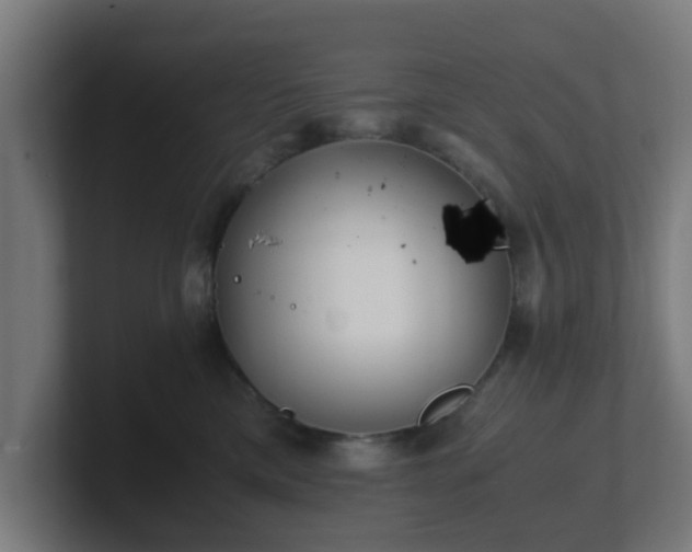 X0000101660425200807171318