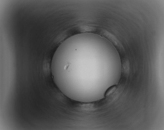 X0000101660426200807171318