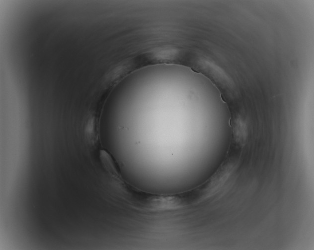 X0000101660428200807171318