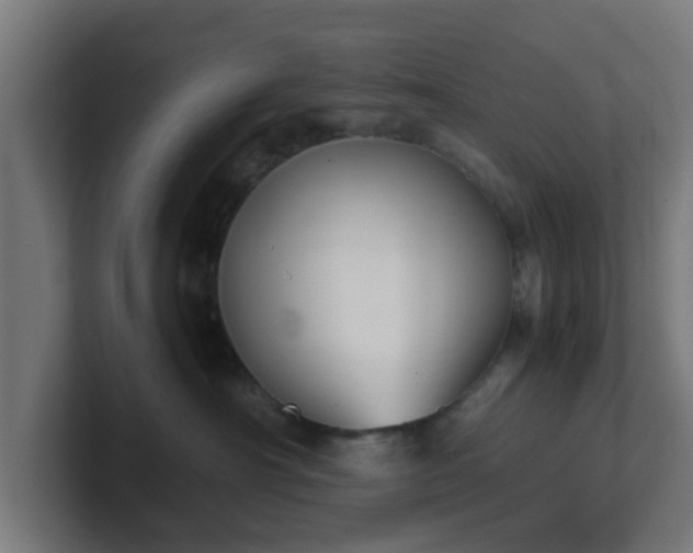 X0000101660430200807171318