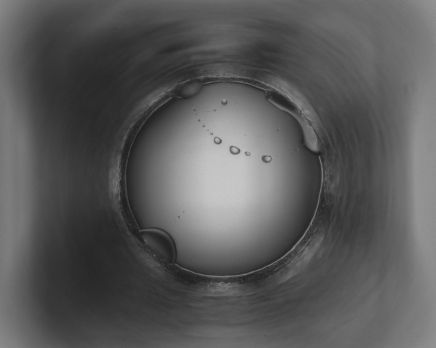 X0000101660437200807171317