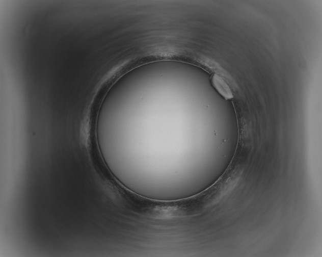 X0000101660440200807171317