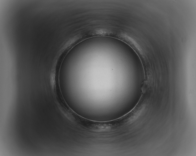 X0000101660443200807171317