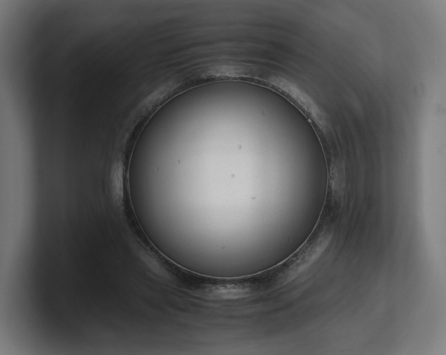 X0000101660445200807171317